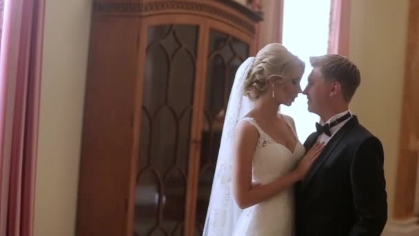 Noiva e noivo abraçando no palácio — Vídeo de Stock