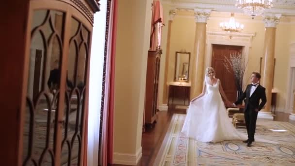 新郎新娘在皇宫散步 — 图库视频影像