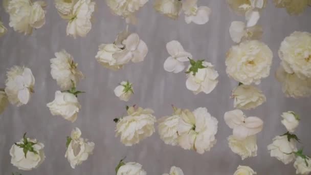 Flores brancas decoração — Vídeo de Stock