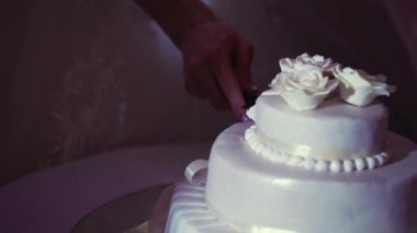 Kadın kutlama pasta kesme