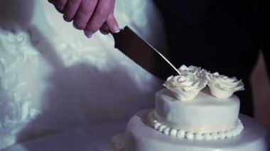 Kadın kutlama pasta kesme