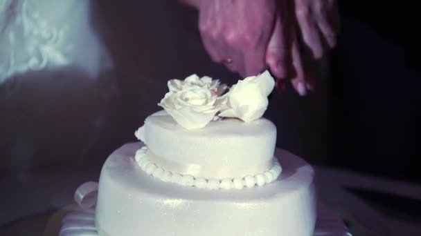 Mujer corte pastel de celebración — Vídeos de Stock