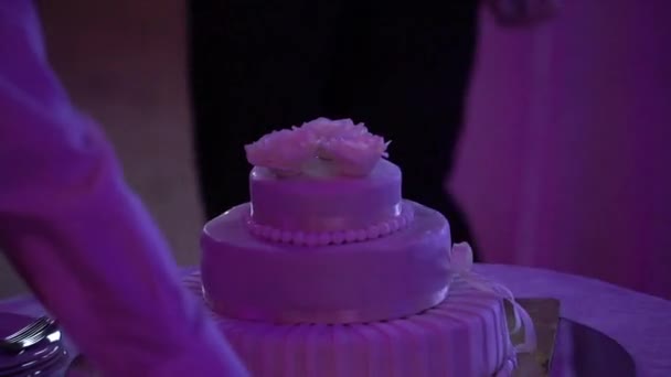 White celebration cake — Stock Video