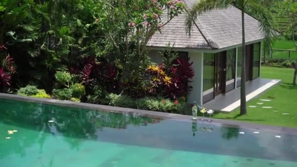 Tropical villa with pool and drinks — Stock Video