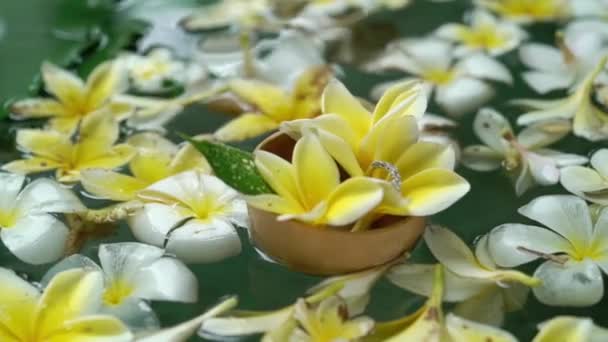 Vigselringar på blommor i en vatten — Stockvideo