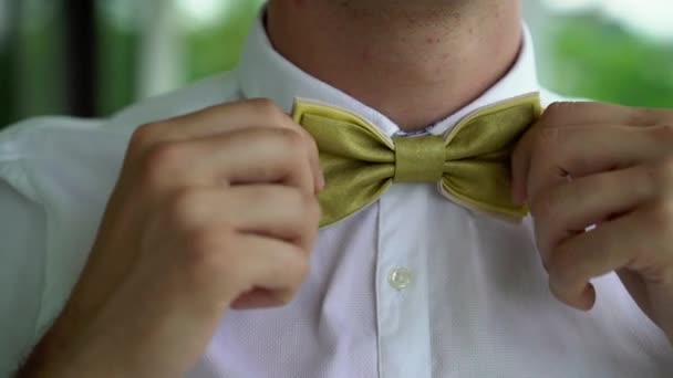 Man put on bow tie — Stock Video