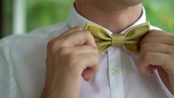 Man put on bow tie — Stock Video