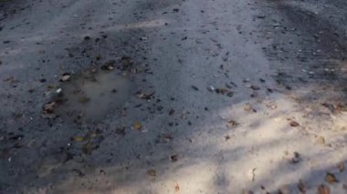 Park'ta yürüyordunuz kişi