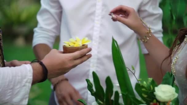 Bride and groom exchanging rings at wedding ceremony — Stock Video