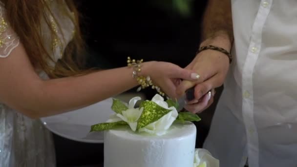 Menyasszony és vőlegény vágás esküvői torta — Stock videók