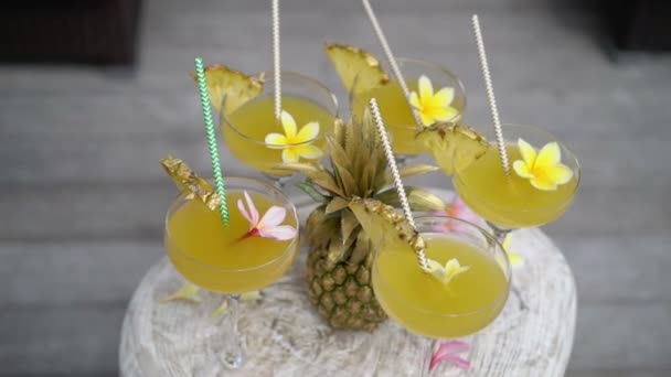 Cocktalis tropicales al aire libre — Vídeo de stock