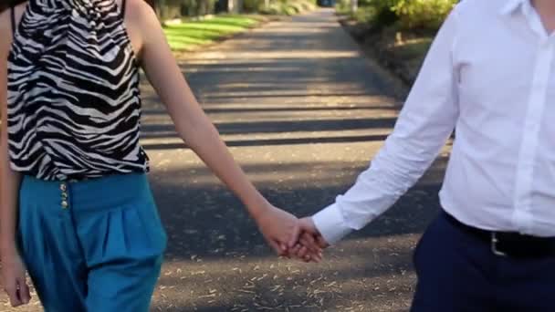 Jeune beau couple marchant dans un parc — Video