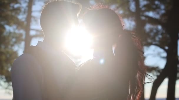 Young lovely couple kissing in a park — Stock Video