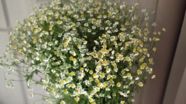 Papatya çiçek buketi