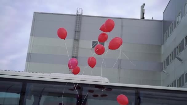 Red balloons flying — Stock Video