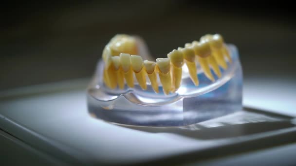 Челюсть в стоматологической клинике — стоковое видео