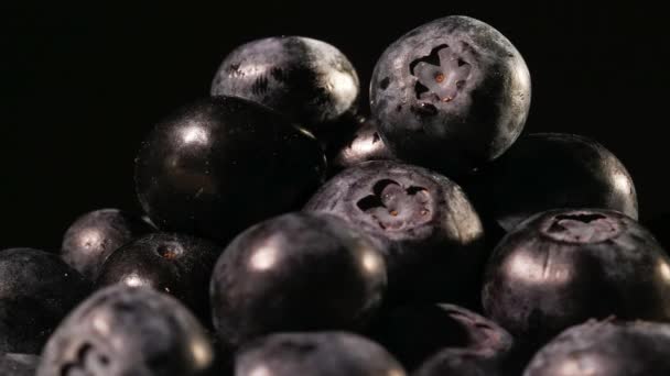 在黑色背景上的蓝莓 — 图库视频影像