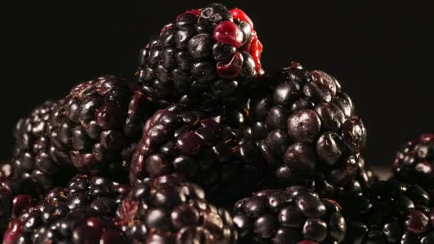 Blackberries on black background — Stock Video