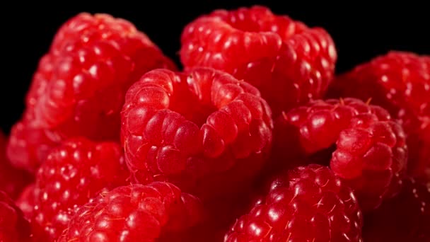 Raspberry di latar belakang hitam — Stok Video