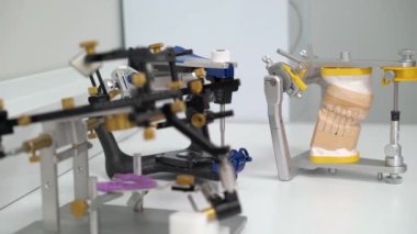 Çene modeli diş Kliniği