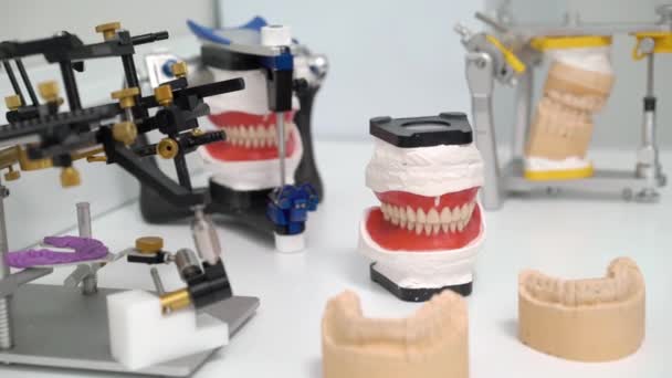 Modelo de mandíbula na clínica odontológica — Vídeo de Stock