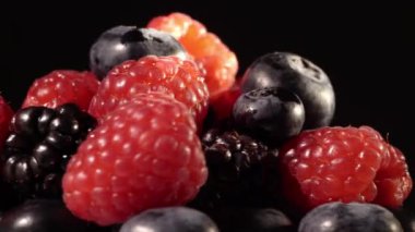 siyah arka plan üzerine yaban mersini