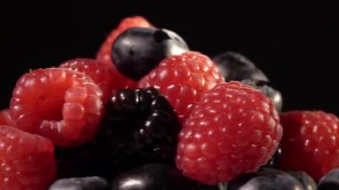 siyah arka plan üzerine yaban mersini