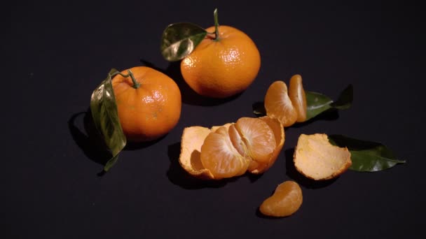 Два цитрусовых мандарина с листочками на черном фоне — стоковое видео