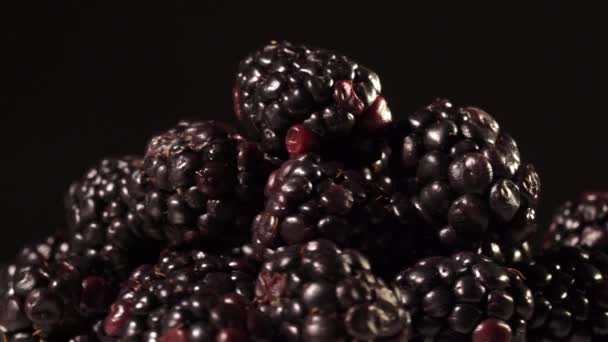 Blackberries di latar belakang hitam — Stok Video