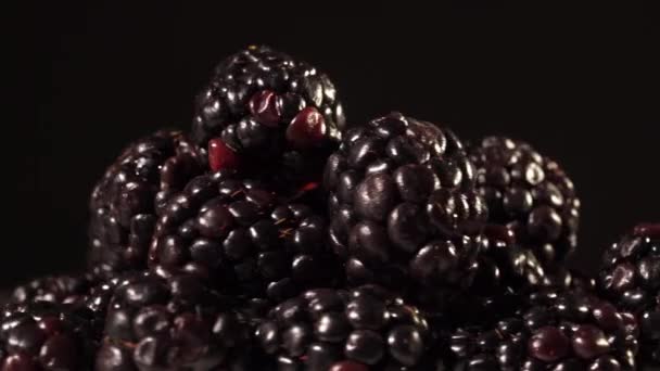 Brombeeren auf schwarzem Hintergrund — Stockvideo