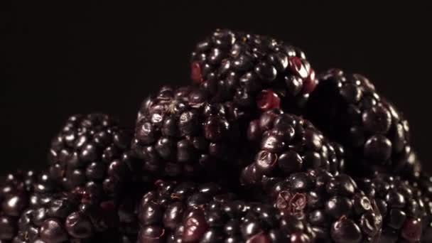 Blackberries di latar belakang hitam — Stok Video