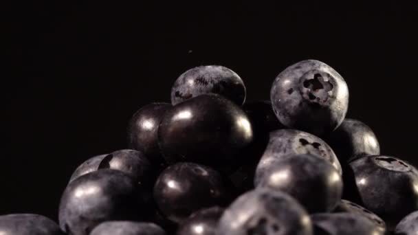 Blaubeeren auf schwarzem Hintergrund — Stockvideo