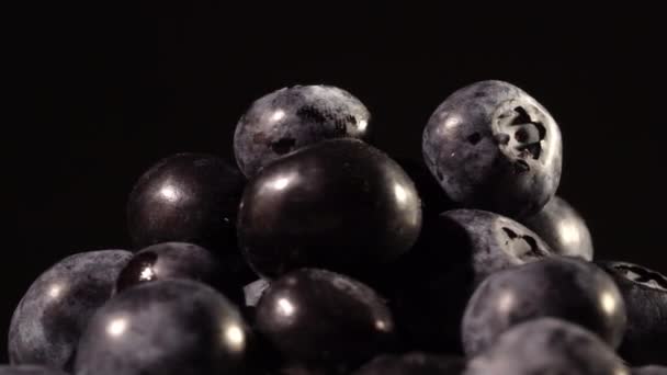 Blaubeeren auf schwarzem Hintergrund — Stockvideo