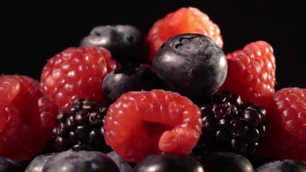 Blueberry di latar belakang hitam — Stok Video