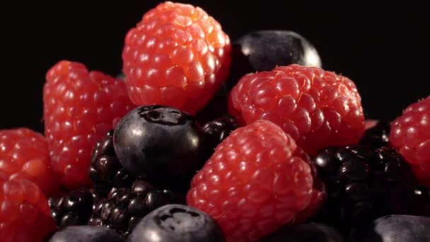 Blueberries on black background — Stock Video