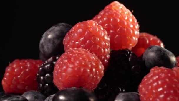 Blueberry di latar belakang hitam — Stok Video
