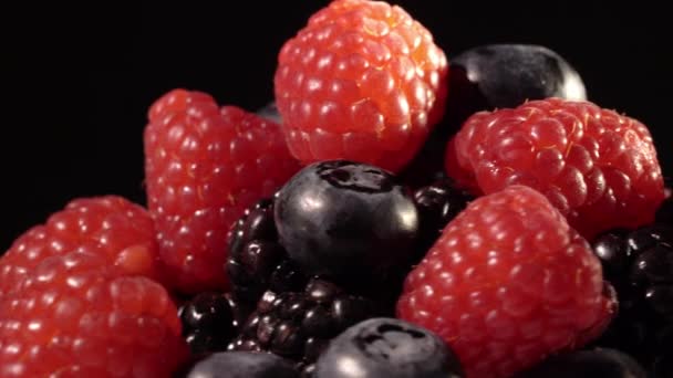 Blueberries on black background — Stock Video