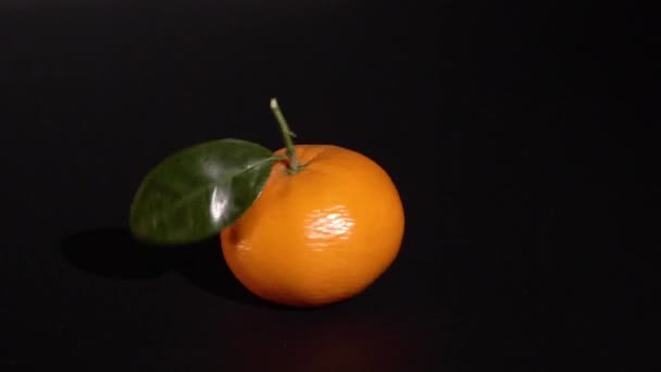 Citrus mandarin with leafes on black background — Stock Video
