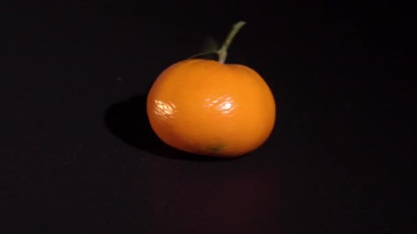 Mandarina cítrica con hojas sobre fondo negro — Vídeos de Stock