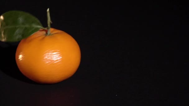 Citrus mandarin with leafes on black background — Stock Video