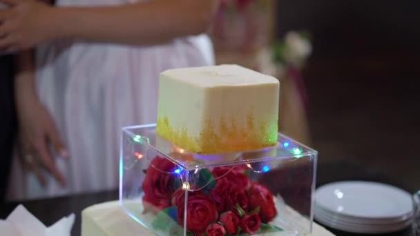 Hochzeitstorte. traditionelles Festdessert bei der Party. Braut und Bräutigam schneiden Stück — Stockvideo
