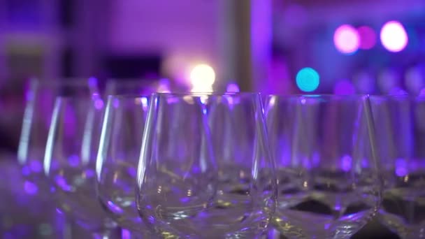 Champagner in Gläsern und Flaschen auf der Party. Alkohol und Getränke — Stockvideo