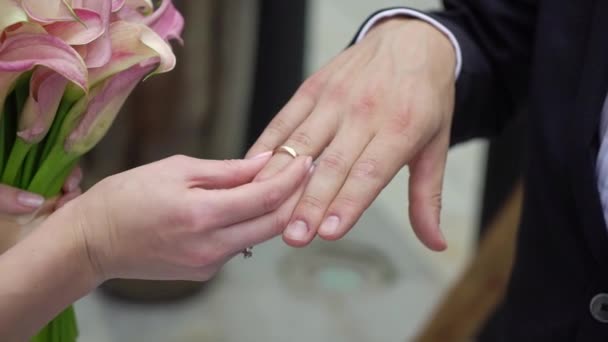 Oblubienica i pan młody wymieniają obrączki podczas ceremonii. Urocza para. — Wideo stockowe