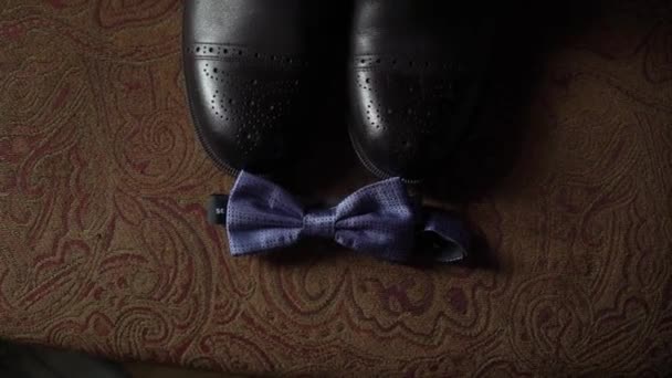 Young man put on bowtie. Dressing for celebration event, business meeting or wedding — Stock Video