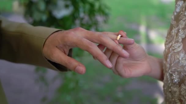 Novia y novio intercambian anillos de boda en la ceremonia. Hermosa pareja. — Vídeos de Stock