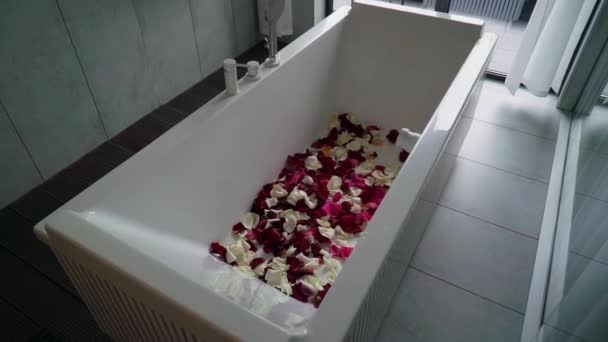 Ванна з пелюстками троянди. Романтичне побачення або медовий місяць — стокове відео