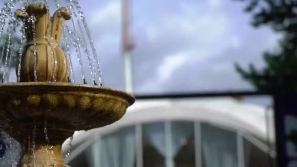 Fountain sparkling in a summer day — Stok Video