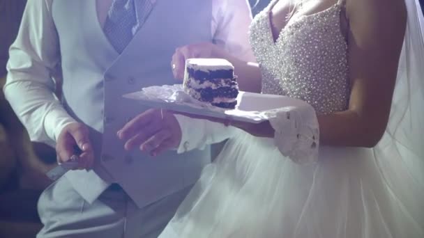 Wedding cake. Traditional celebration dessert at the party. Bride and groom cut piece — Stock Video