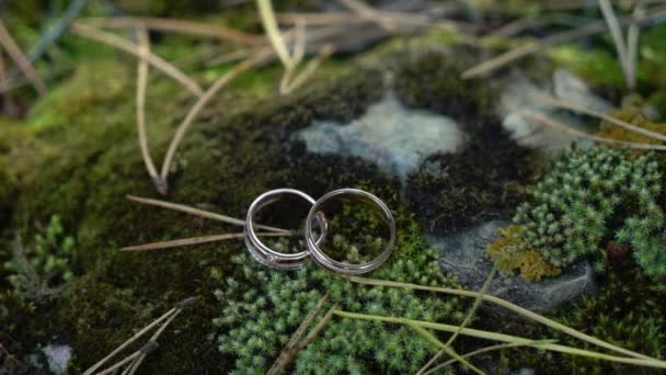 แหวนแต่งงาน สัญลักษณ์การแต่งงาน ความรักของเจ้าสาวและเจ้าบ่าวกลายเป็นภรรยาและสามี สัญลักษณ์ประจําตัว . — วีดีโอสต็อก