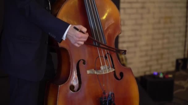 Homem a tocar violoncelo. Homem violinista a tocar música. Músico no concerto de palco . — Vídeo de Stock